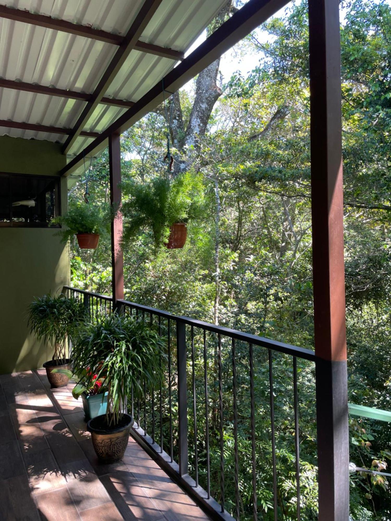 Cabanas La Montana Monteverde Εξωτερικό φωτογραφία