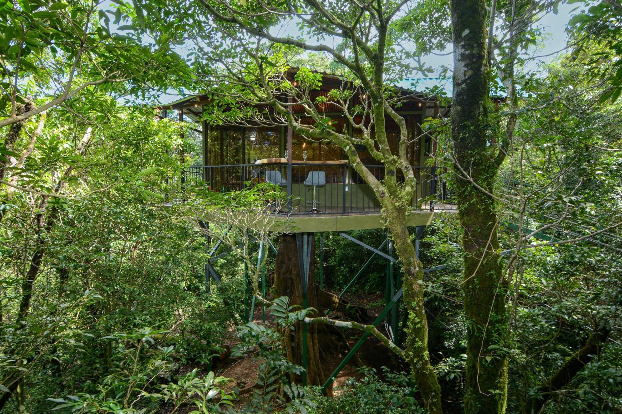 Cabanas La Montana Monteverde Εξωτερικό φωτογραφία