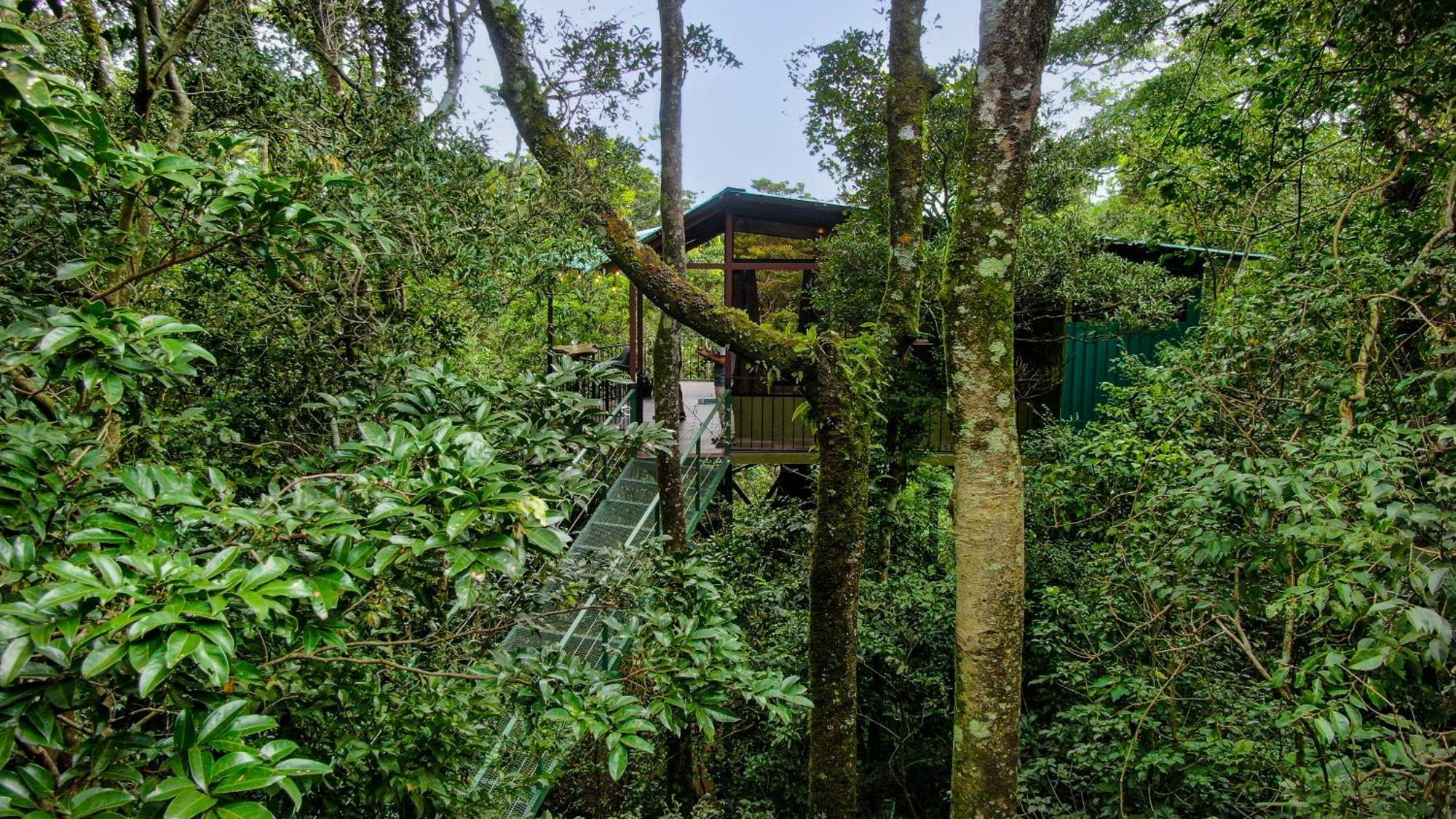 Cabanas La Montana Monteverde Εξωτερικό φωτογραφία