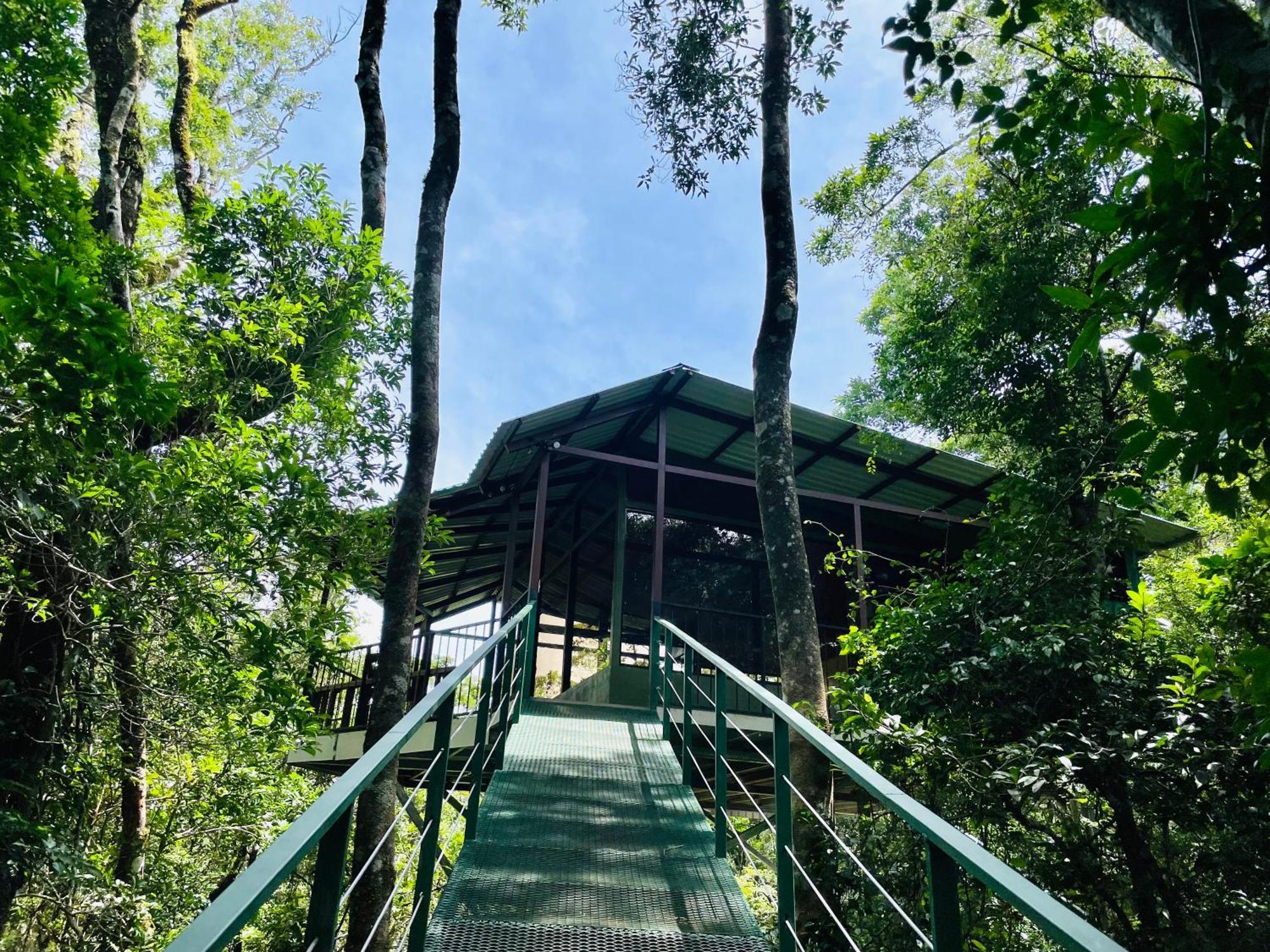 Cabanas La Montana Monteverde Εξωτερικό φωτογραφία